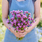 Person holding a bouquet of purple flowers from the gomphrena bundle in a natural setting