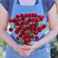 Person holding a bouquet of red flowers from the gomphrena bundle in a natural setting