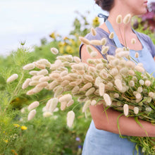 Person holding a bouquet of white fluffy bunny tail grass in a garden setting