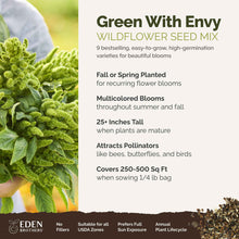 A visual overview of the wildflower seed mix, showcasing expected floral blooms.