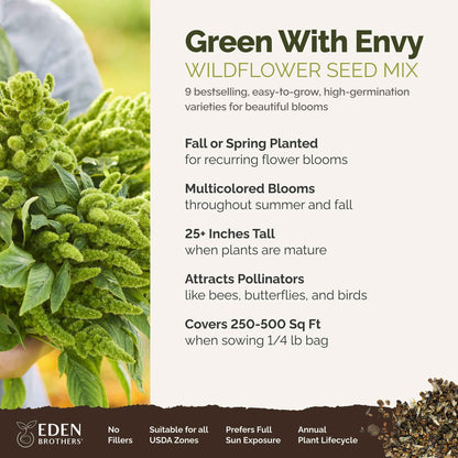 A visual overview of the wildflower seed mix, showcasing expected floral blooms.