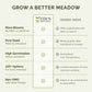 Comparison chart between Eden Brothers seeds and generic seeds, highlighting benefits of Eden Brothers seeds.