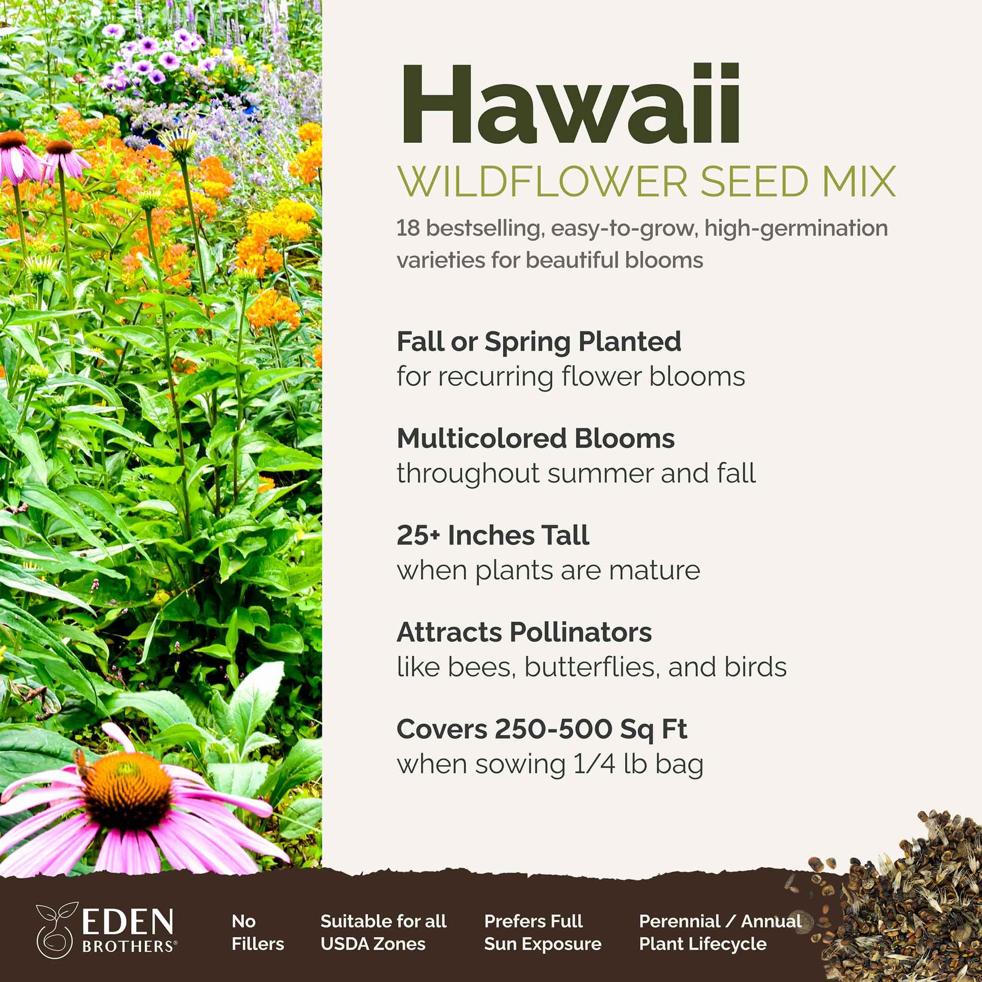 A visual overview of the wildflower seed mix, showcasing expected floral blooms.