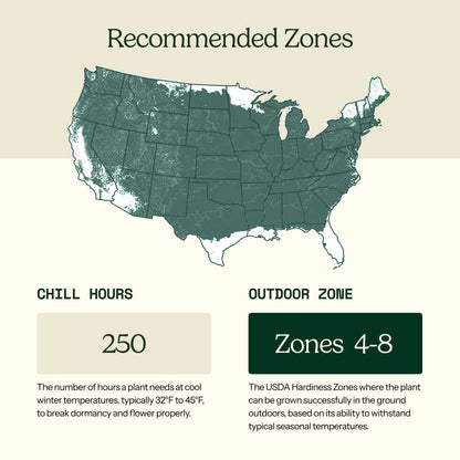 A USDA hardiness zone map of the United States with labeled patio and outdoor zones, showing a light teal map on a beige background with explanatory text blocks below.