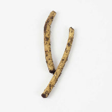 Bare root of horseradish set on a white background