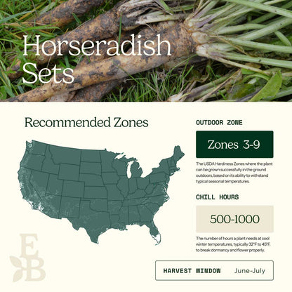 Graphic showing the recommended growing zones for horseradish sets