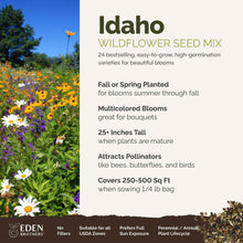 A visual overview of the wildflower seed mix, showcasing expected floral blooms.