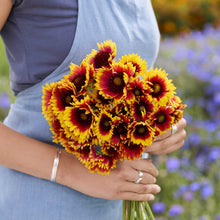 A person holding a bouquet of indian blanket mix flowers in a natural setting