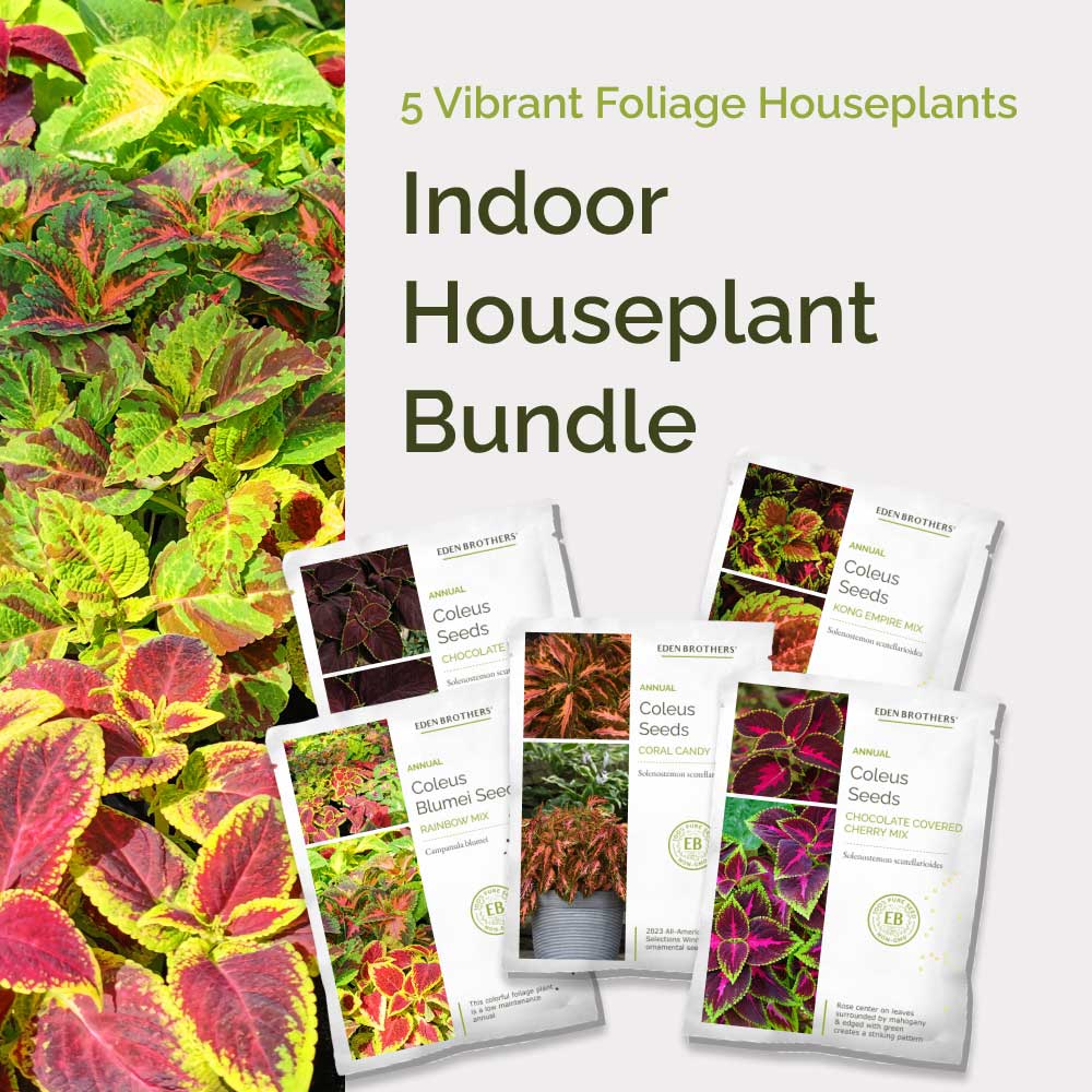 Graphic of indoor houseplant bundle pack displaying a product image and contents of the bundle.