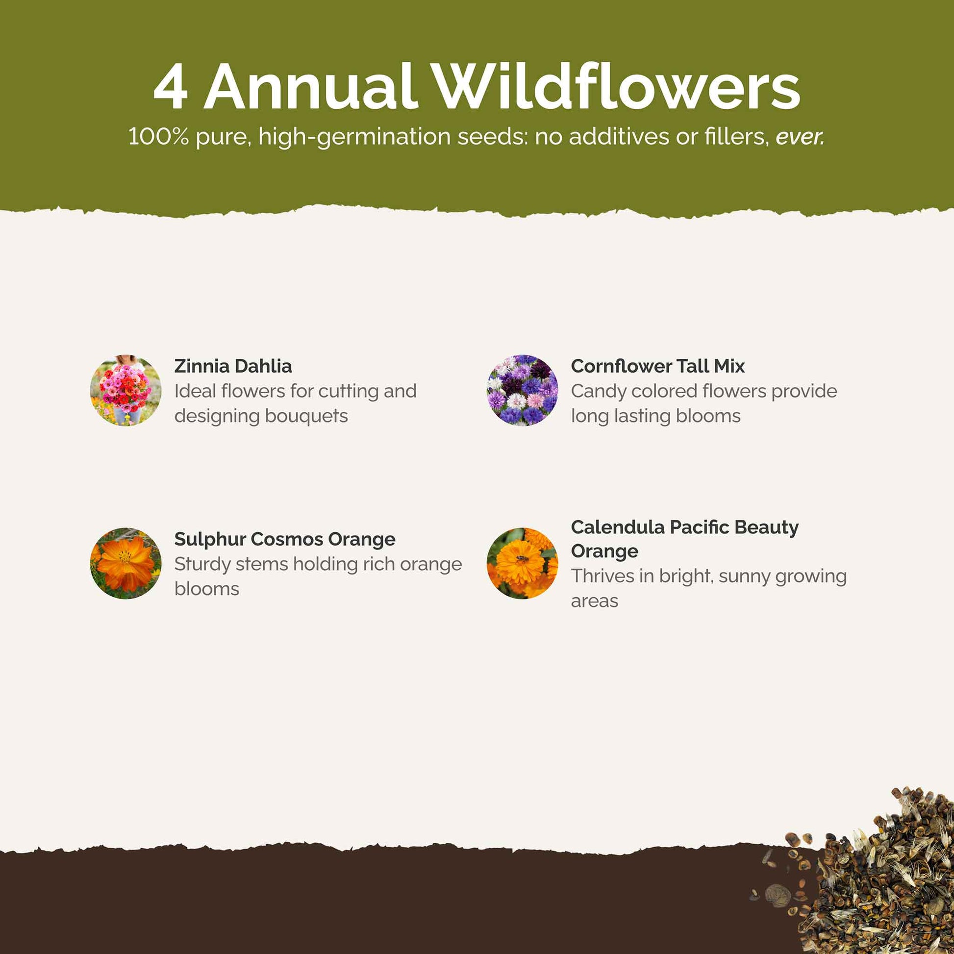 List of flower species and seeds included in the Wildflower Seed Mix.