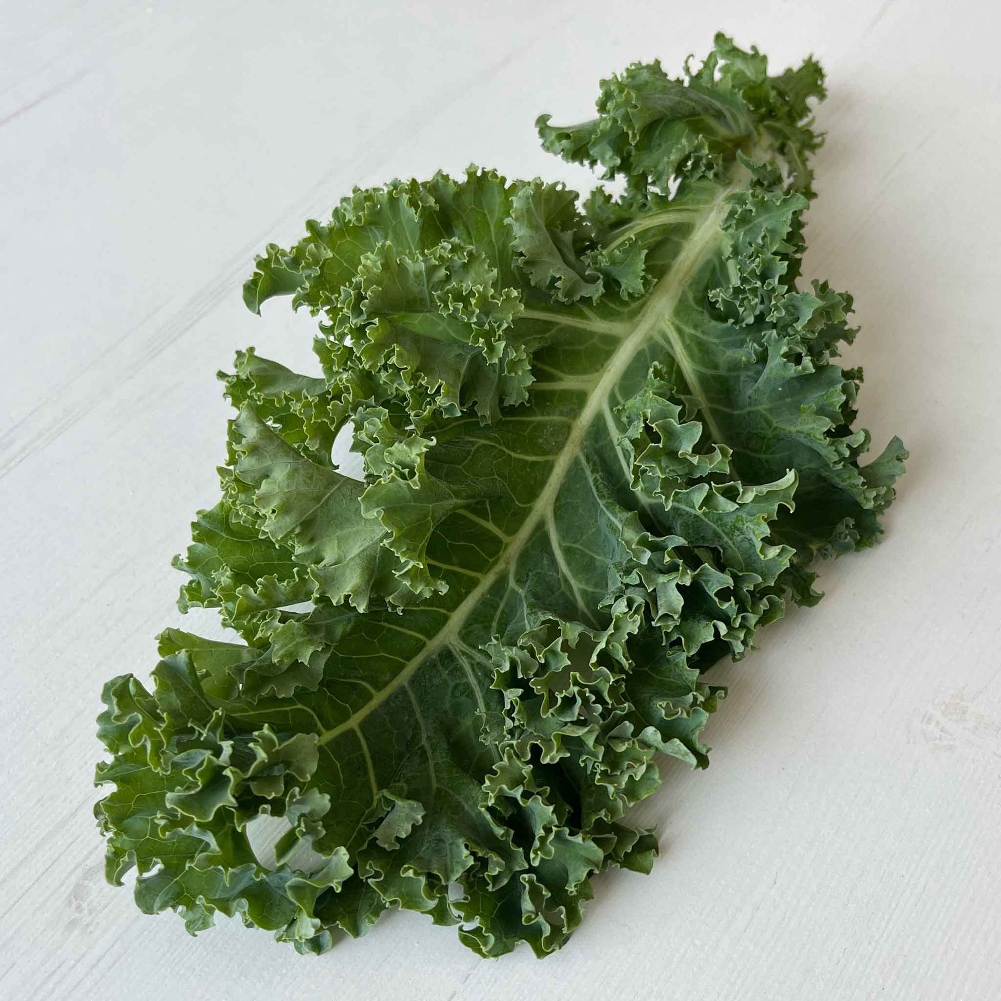 Dwarf Siberian kale seeds, a healthy, leafy green vegetable.