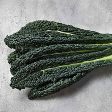 A close-up of a bunch of dark green, crinkly Lacinato kale leaves.