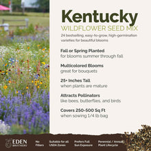 A visual overview of the wildflower seed mix, showcasing expected floral blooms.