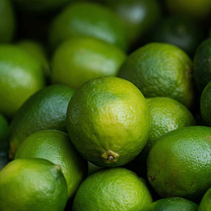 Key Lime Tree