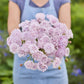 Person holding a bouquet of pink flowers from the lace flower series bundle in a garden setting