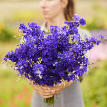 A person holding a bouquet of larkspur hyacinth flower tall mix flowers in a garden setting.