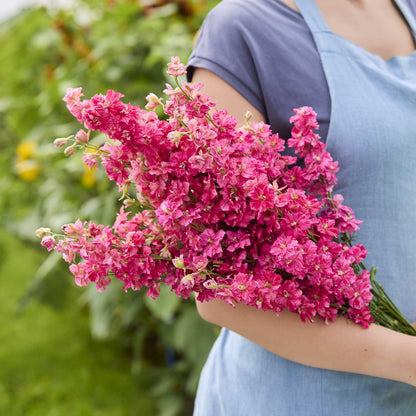 A person holding a bouquet of larkspur king size scarlet flowers in a garden setting.