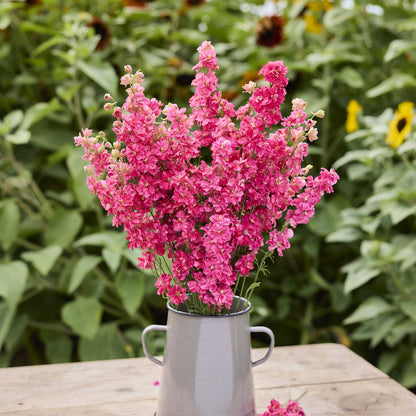 A bouquet of larkspur king size scarlet flowers in a grey vase in a garden setting.