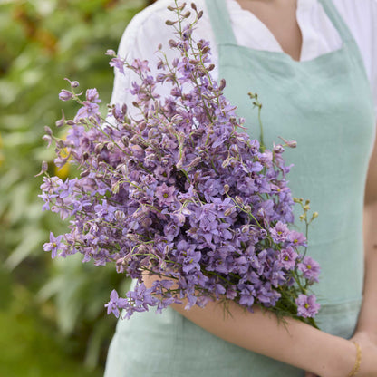 Person holding a bouquet of misty lavender larkspur flowers with a blurred green background