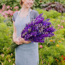 A person holding a bouquet of larkspur qis dark blue flowers in a garden setting.