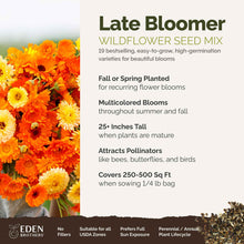 A visual overview of the wildflower seed mix, showcasing expected floral blooms.