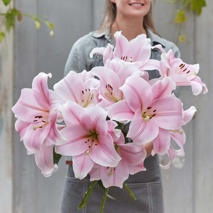 Soft yellow lily cali blooms held in a bouquet against a blurred outdoor background.