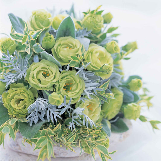 lisianthus rosanne green