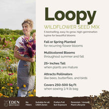 A visual overview of the wildflower seed mix, showcasing expected floral blooms.