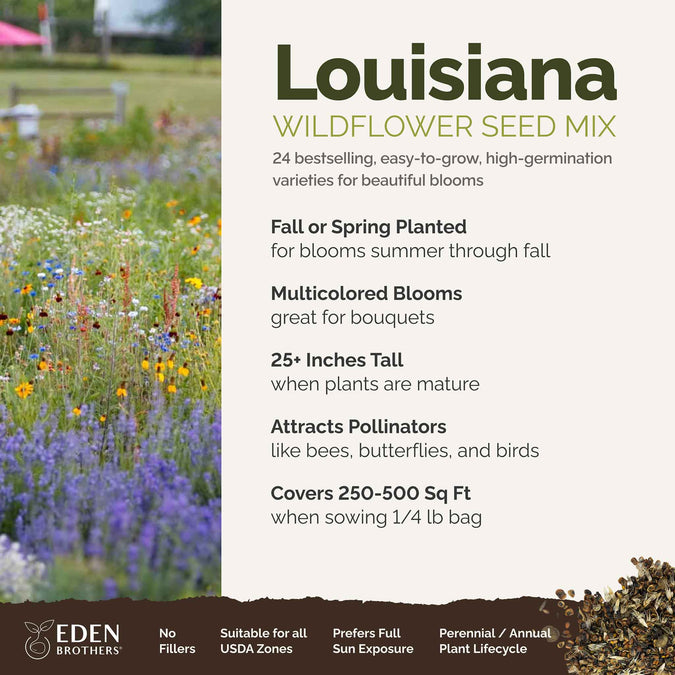 Louisiana Wildflower Seed Mix