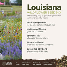 A visual overview of the wildflower seed mix, showcasing expected floral blooms.