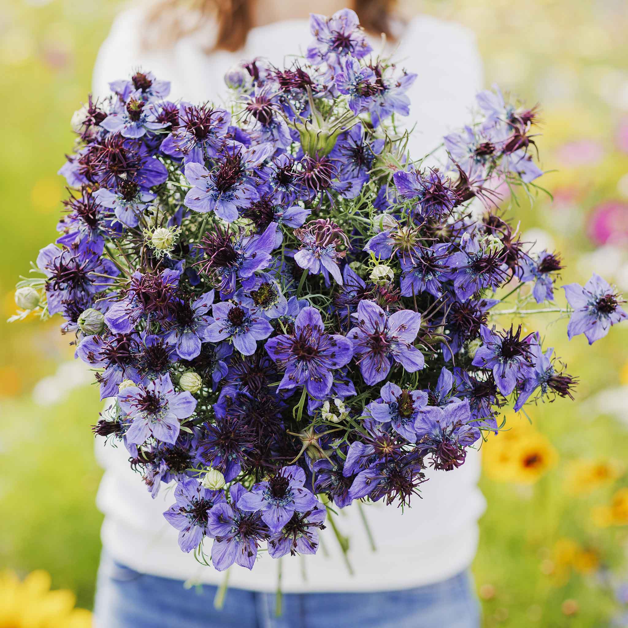Bouquet of purple love in the mist midnight flowers held by a person in a blurred natural setting