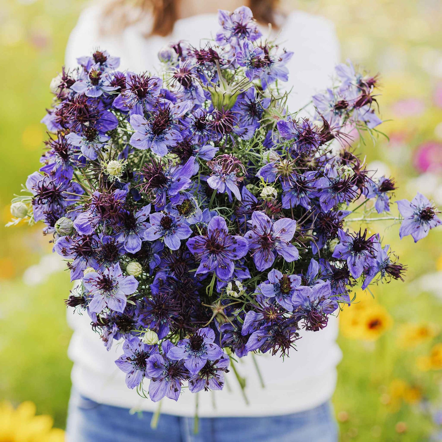 Bouquet of purple love in the mist midnight flowers held by a person in a blurred natural setting
