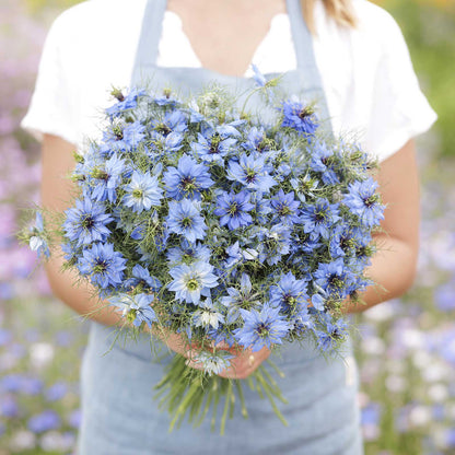 A person holding a bouquet of love in the mist blue flowers in a natural setting