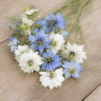 A bouquet of love in the mist mixed flowers in a natural setting