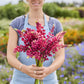 A person holding a bouquet of russell lupine the pages flowers in a garden setting.