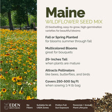 A visual overview of the wildflower seed mix, showcasing expected floral blooms.