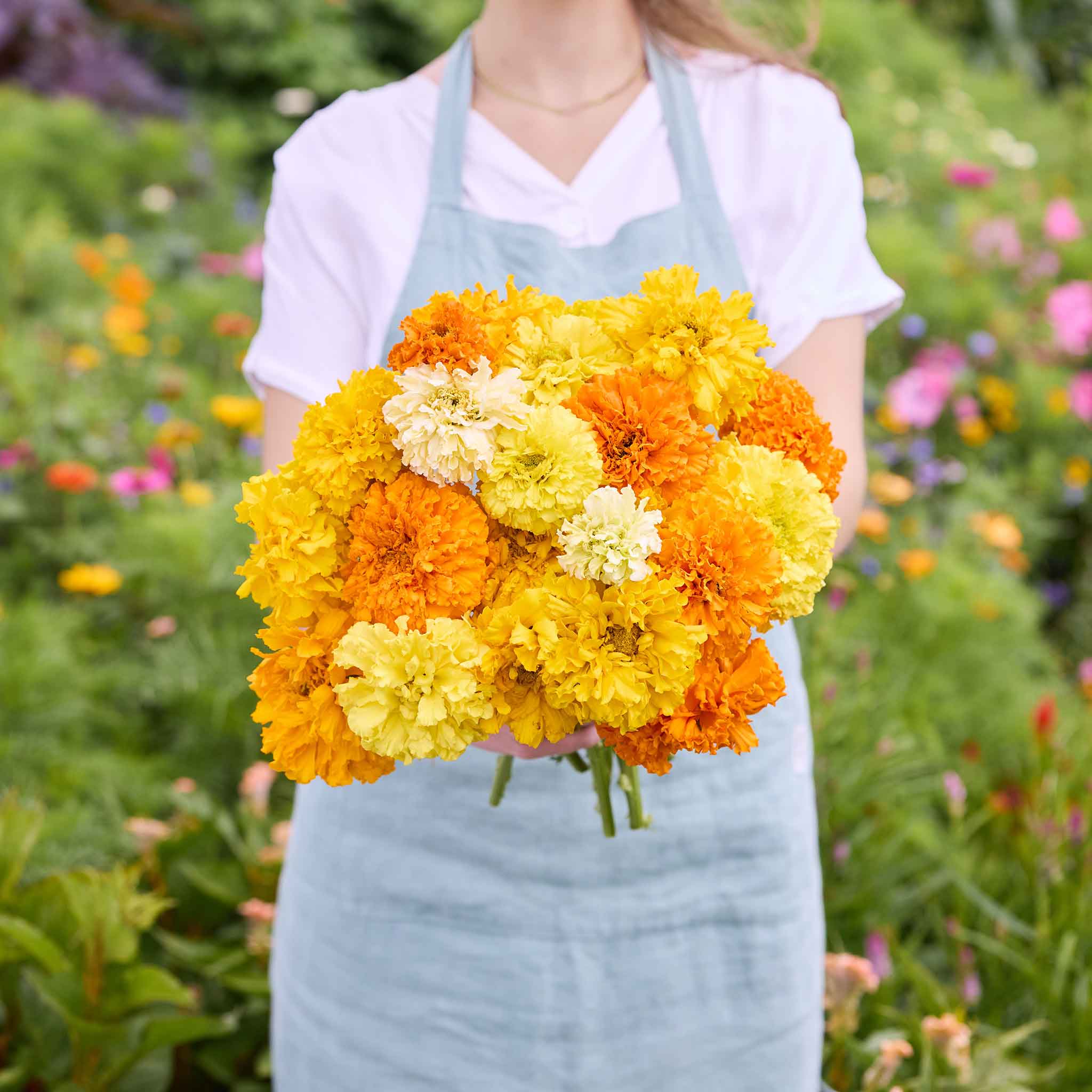 Person holding a bouquet of orange and yellow crackerjack mix marigold flowers in a garden setting