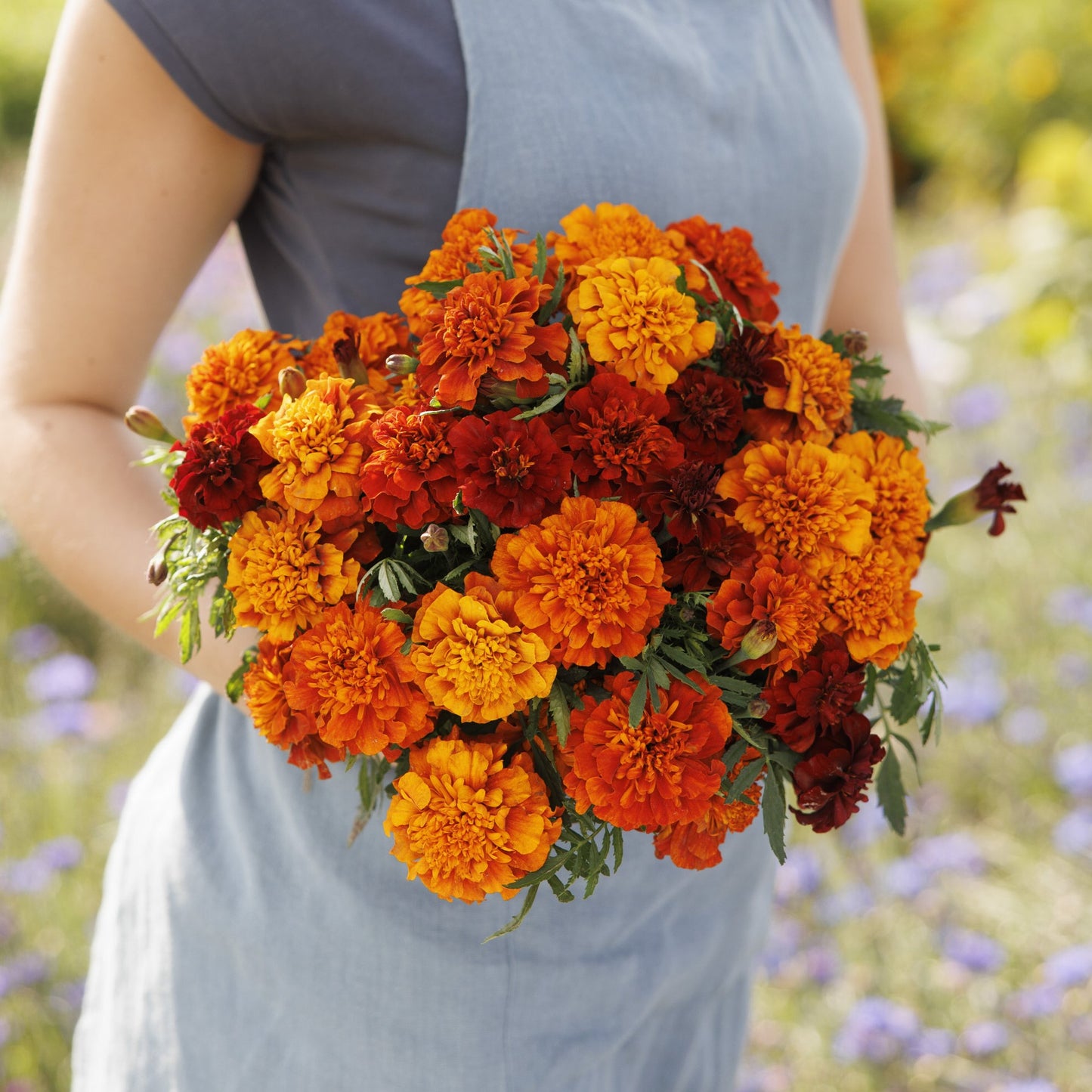 Person holding a bouquet of orange and red fireball marigolds in a garden setting