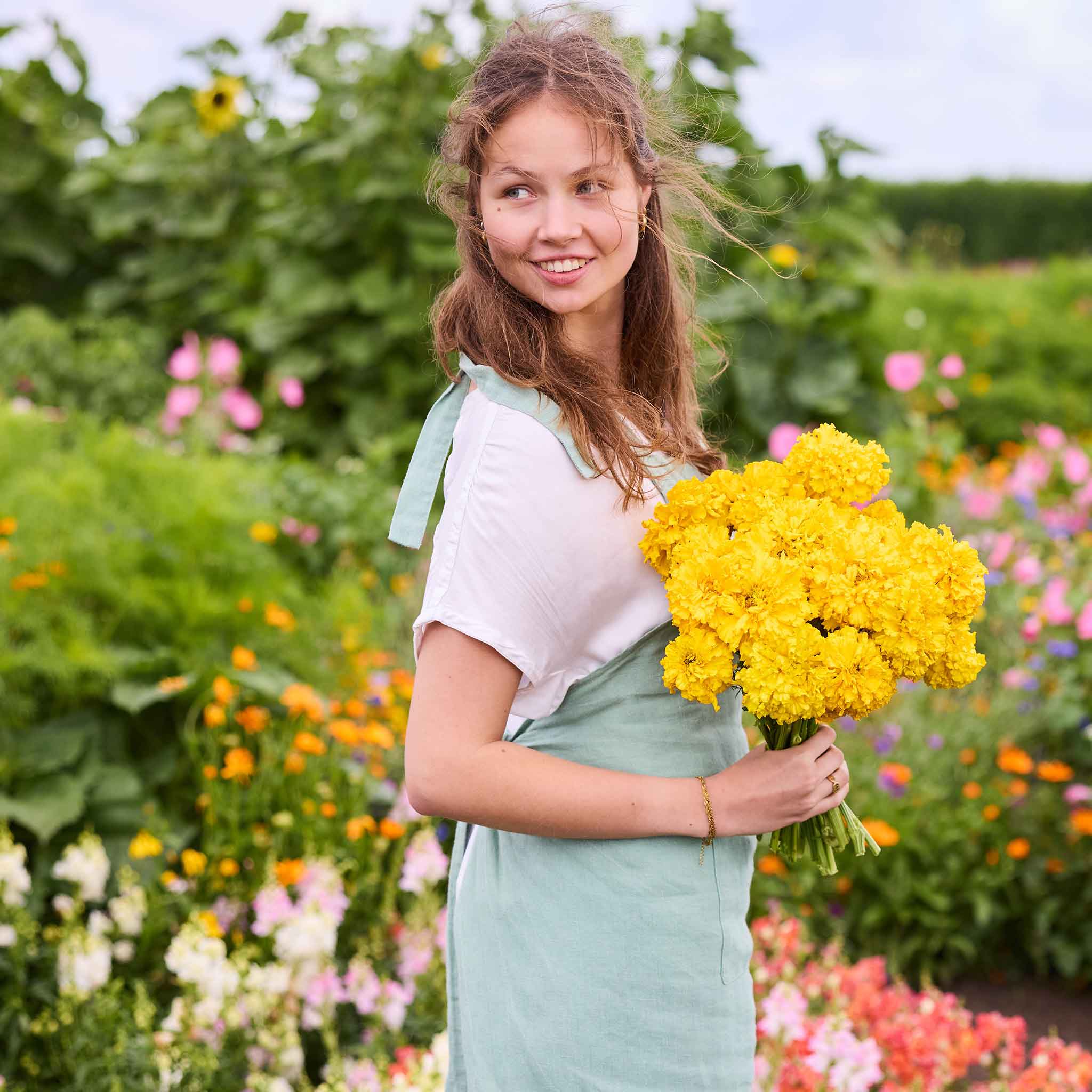 Person holding a bouquet of yellow Smiles Marigold flowers in a garden setting