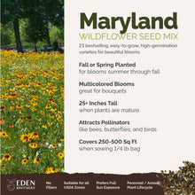 A visual overview of the wildflower seed mix, showcasing expected floral blooms.