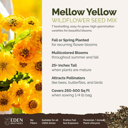 A visual overview of the wildflower seed mix, showcasing expected floral blooms.