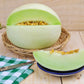 Melon Seeds - Honeydew Green