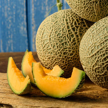 A close-up shot of a single "Top Mark" melon, showcasing its smooth, light green skin with netting.