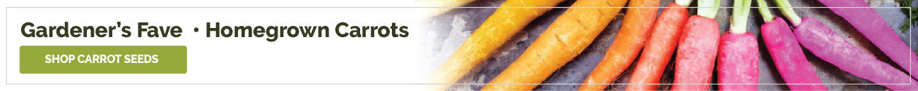 collections carrot seeds banner