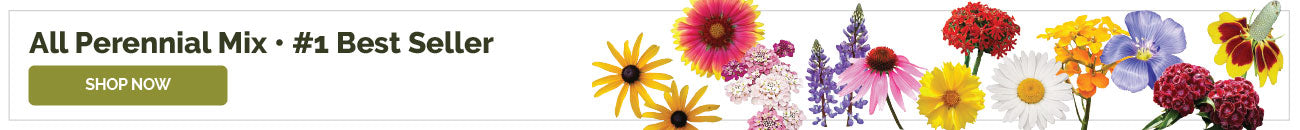 products perennial wildflower seed mix banner