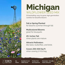 A visual overview of the wildflower seed mix, showcasing expected floral blooms.