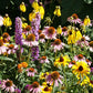 Colorful flower garden with various types of flowers from the midwest native mix including yellow, pink, and purple.