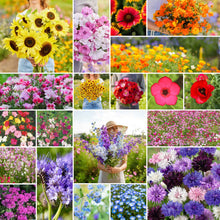 A grid graphic showing the bloomed contents of Signature Wildflower Bundle - Annual & Perennial Blooms