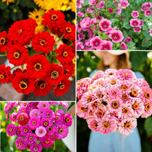 A grid graphic showing the bloomed contents of Cupid's Flower Seed Mix