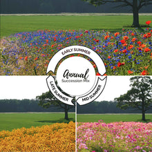 A grid showing the growth cycle of the endless summer annual succession wildflower mix